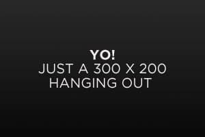 Image Alignment 300x200 Image Alignment 300x200